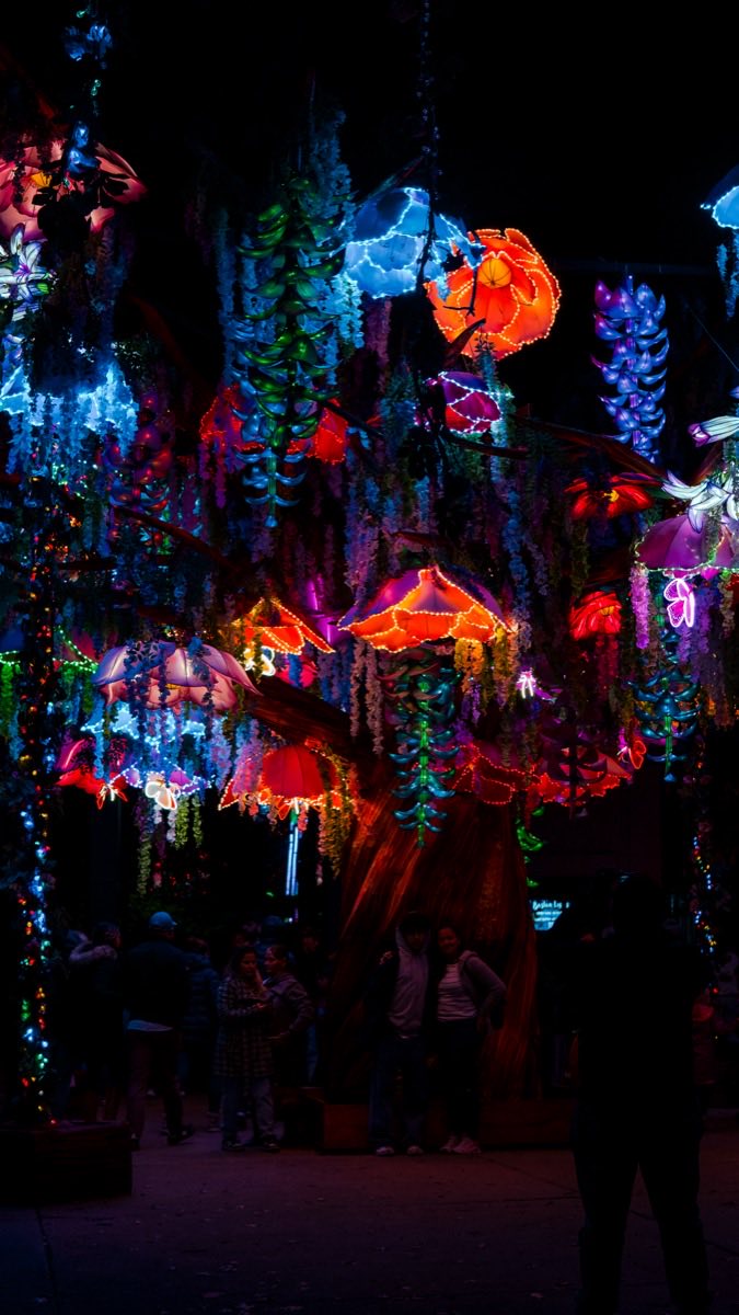 Lantern garden at night
