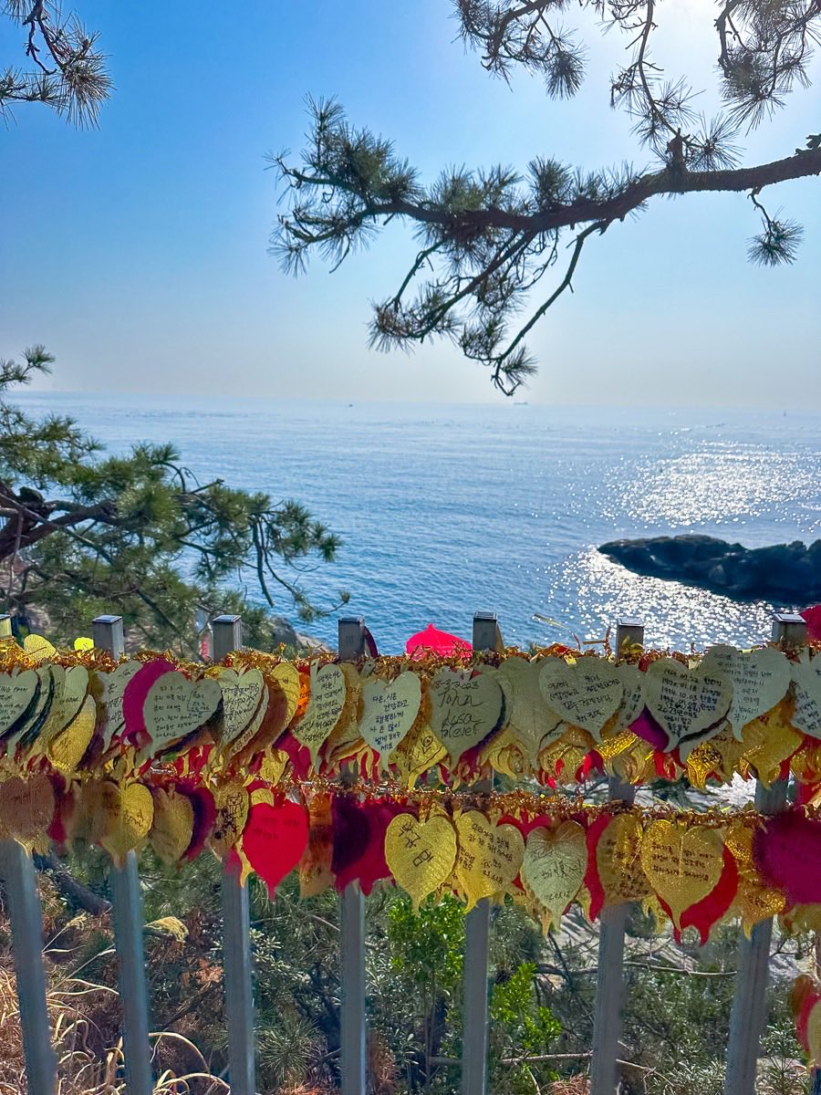 Wishes on the fence