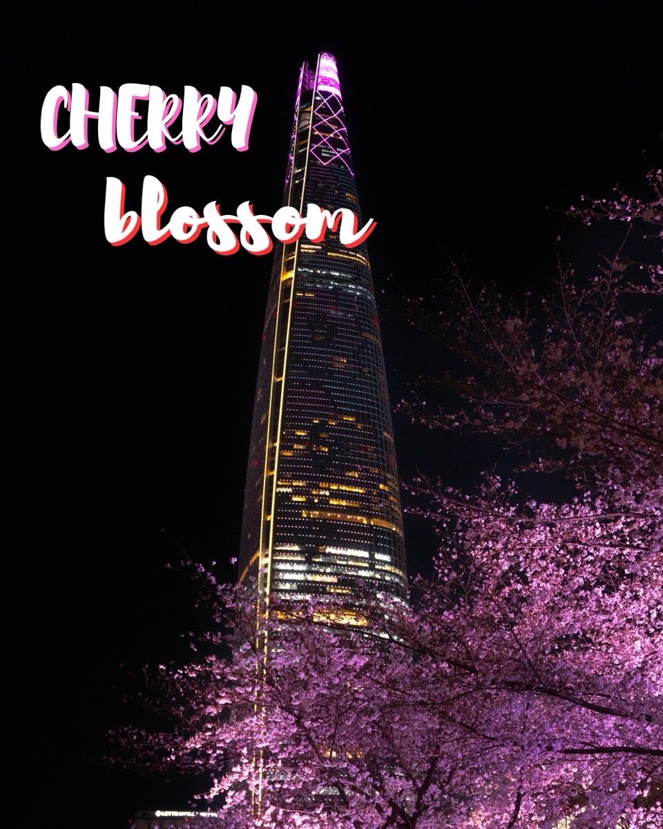 Cherry blossom